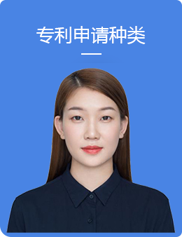 专利申请类型